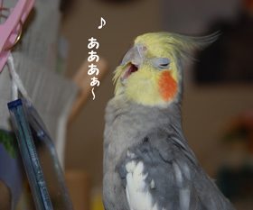 ああああぁ〜