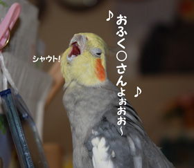 おふく○さんよぉお