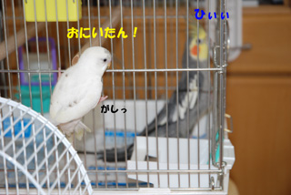 出会い