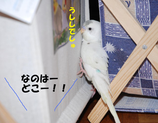 かくれんぼ