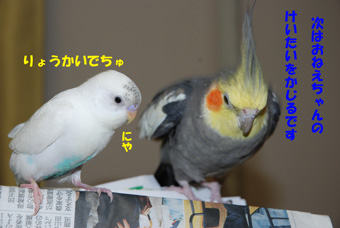 悪さ相談