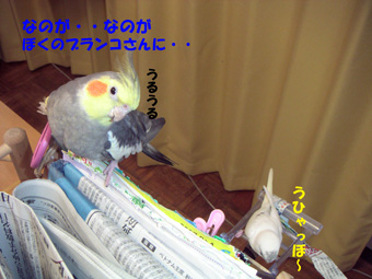 ぼくのブランコ
