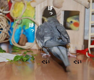 腕立て伏せ