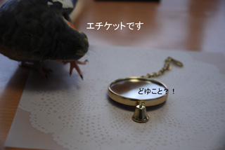 鏡を見る前は・・
