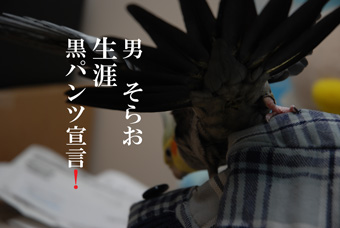 黒パンツ宣言