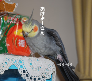 おはよーさん