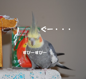 すぴー