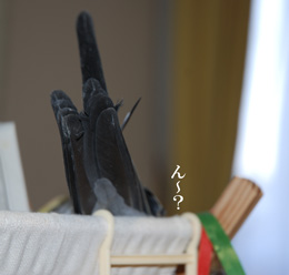 黒パンツ