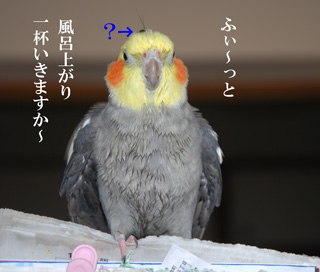 一杯いきますか