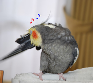 ご機嫌
