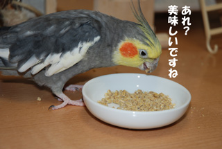 美味しいですね