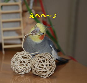 マンチボールさん