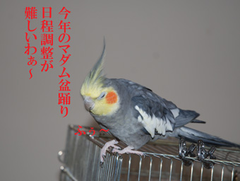 ËßÍÙ¤ê