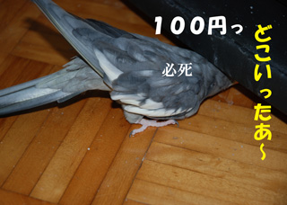 ɬ»à