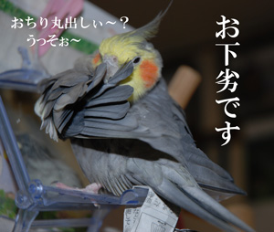 ¤³¤Î¥Ö¥í¥°¤Î´¶ÁÛ¡©