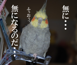 ̵¤Ë¡¦¡¦