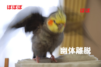 Í©ÂÎΥæ