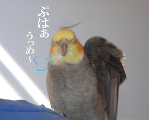 うっめー
