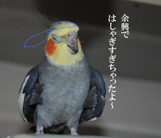 はしゃぎすぎ