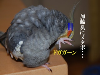 悩み