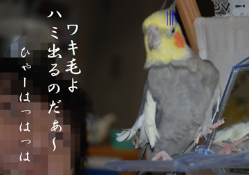 ハミ出るのだ!!
