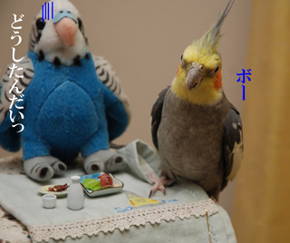 ボー