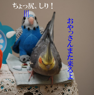 また来るよ