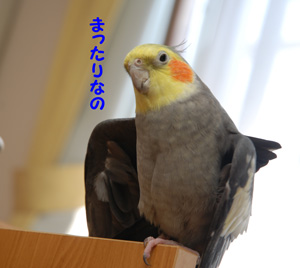 まったりなの