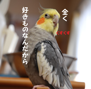 好きもの