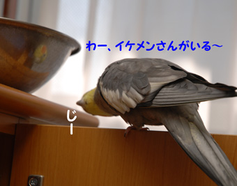 イケメンさんが