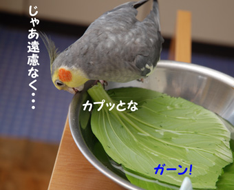 遠慮なく・・・