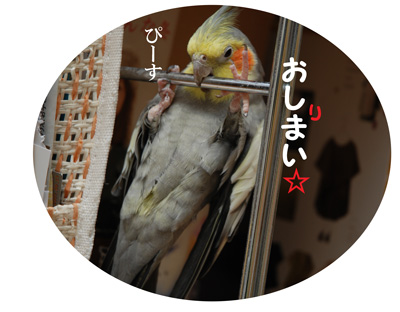 おしまい