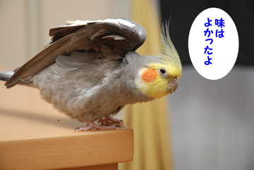 味はよかったです