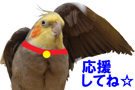 バナー