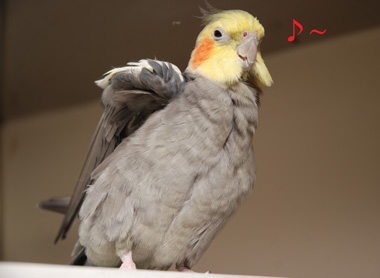 可愛い.jpg