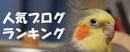 人気ブログランキング.jpg