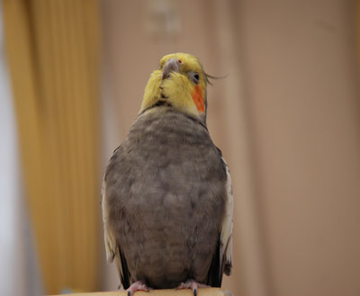 3.JPG