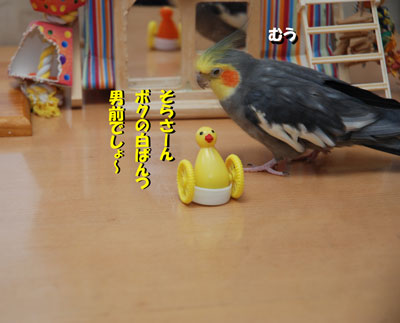 8.JPG