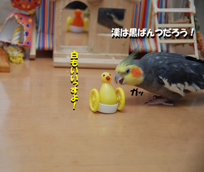 9.JPG