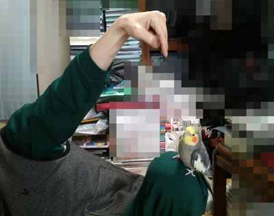 1.jpg