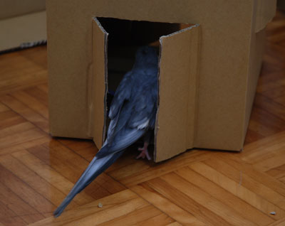 12.JPG