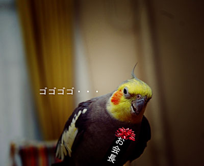 お会長.JPG