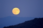 観月会 竹燈夜in 妹背山