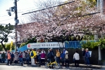 桜ウォーク