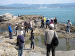 万葉の故地・和歌の浦を写す