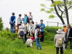 万葉の故地・和歌の浦を写す