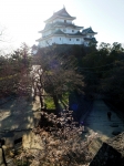 和歌山城