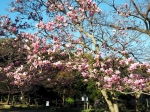 岡公園