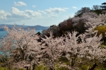 高津子山