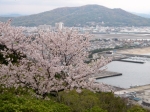 高津子山